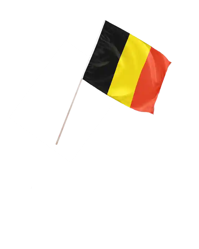 Schwenkfahne Belgien