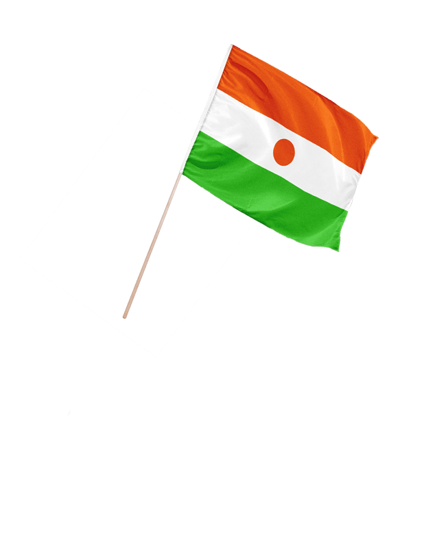 Schwenkfahne Niger