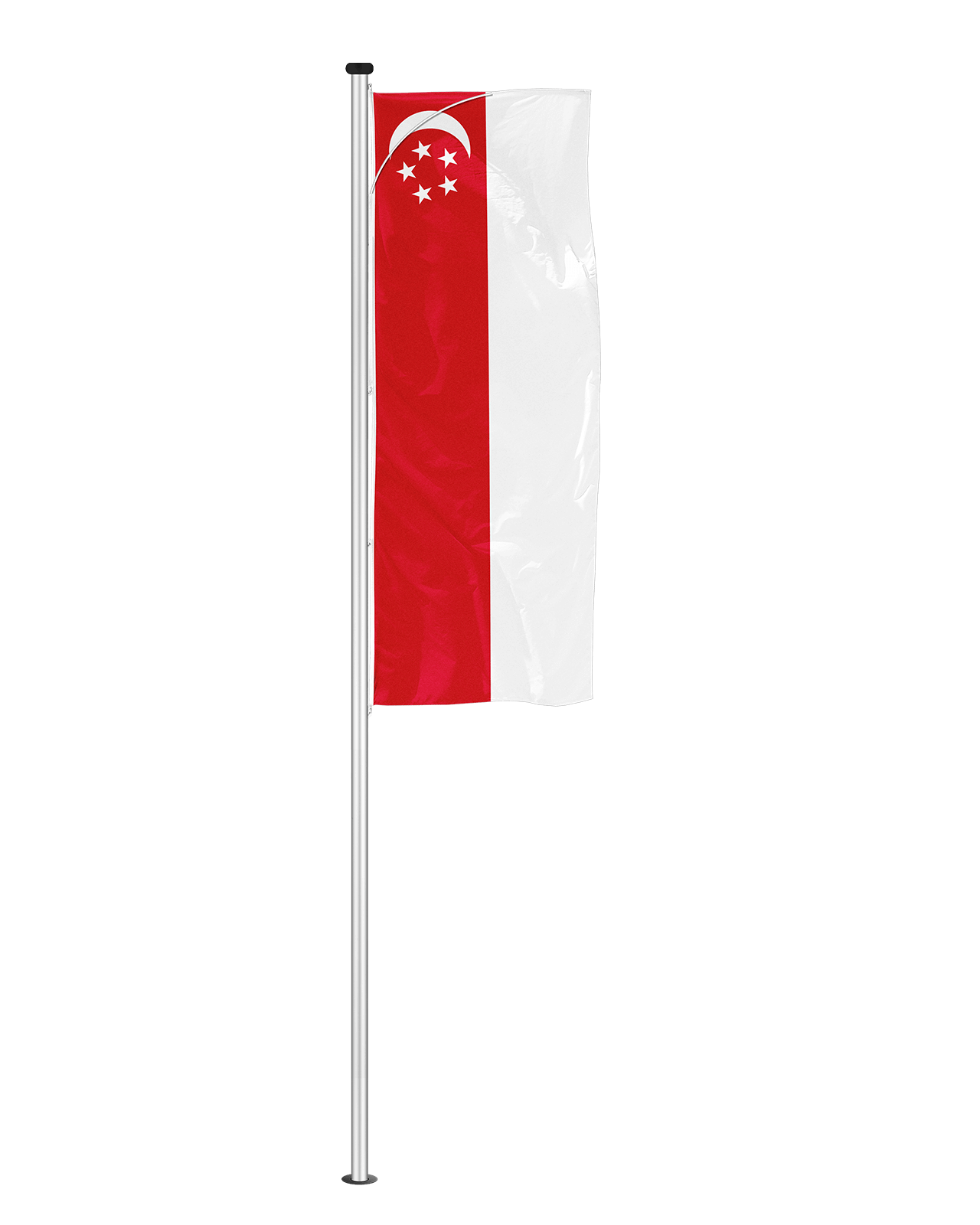 Top Vision Fahne Singapur